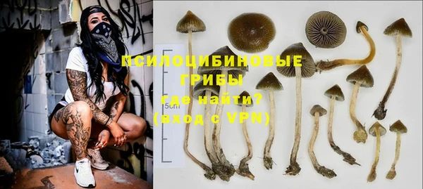 COCAINE Богданович